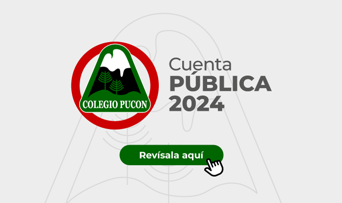 Cuenta Pública 2025