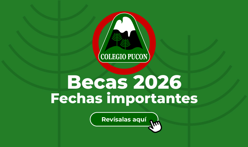 Fechas Becas